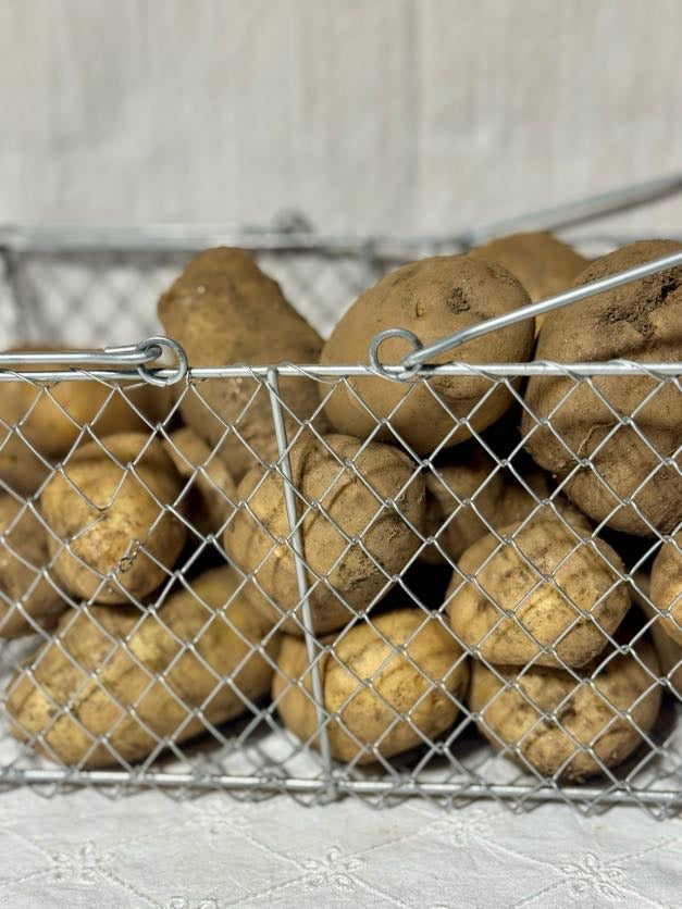 DB Pumpkins – Potatoes
